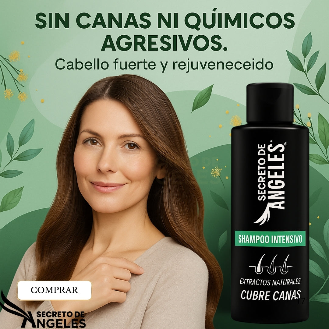 Shampoo Cubrecanas Secreto De Angeles X 3 Unidades + Obsequio