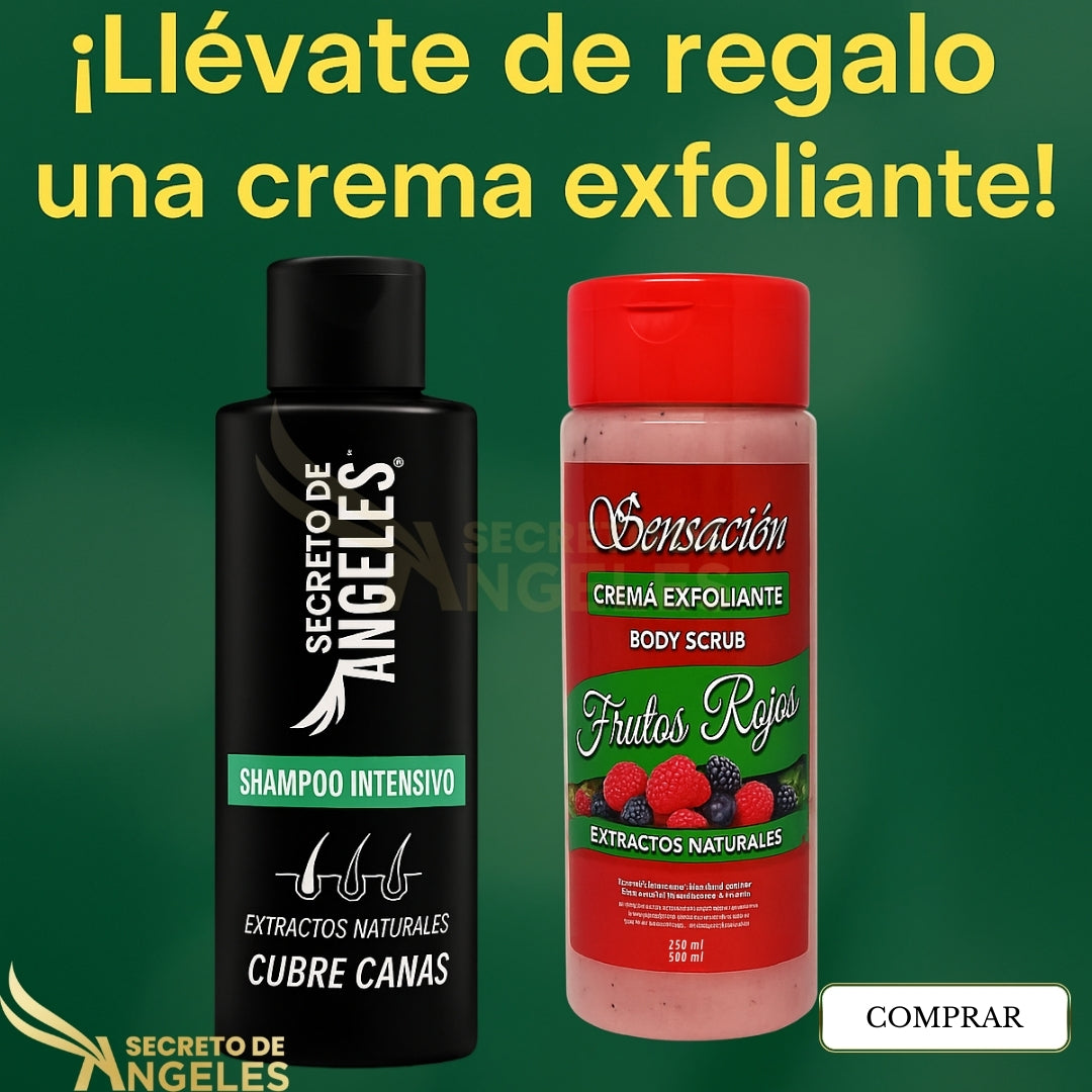 Shampoo Cubrecanas Secreto De Angeles X 3 Unidades + Obsequio